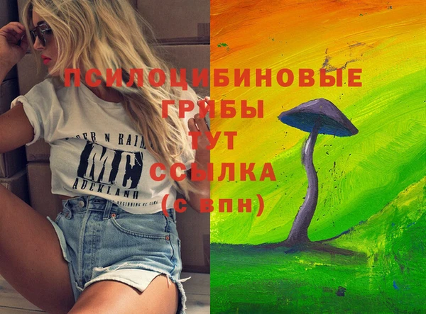 первитин Володарск