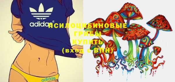 ГАЛЛЮЦИНОГЕННЫЕ ГРИБЫ Волосово
